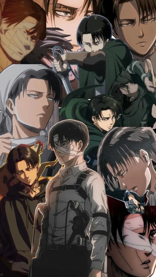 Levi Ackerman (30)
