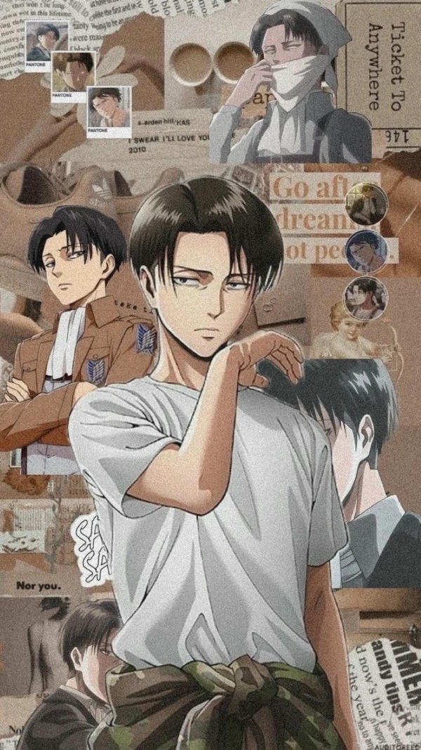 Levi Ackerman (31)