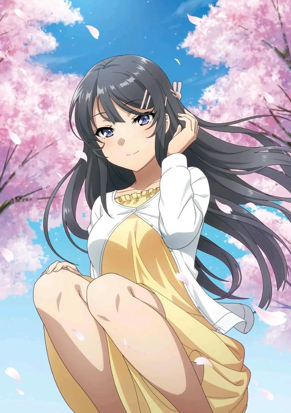 Mai Sakurajima (10)