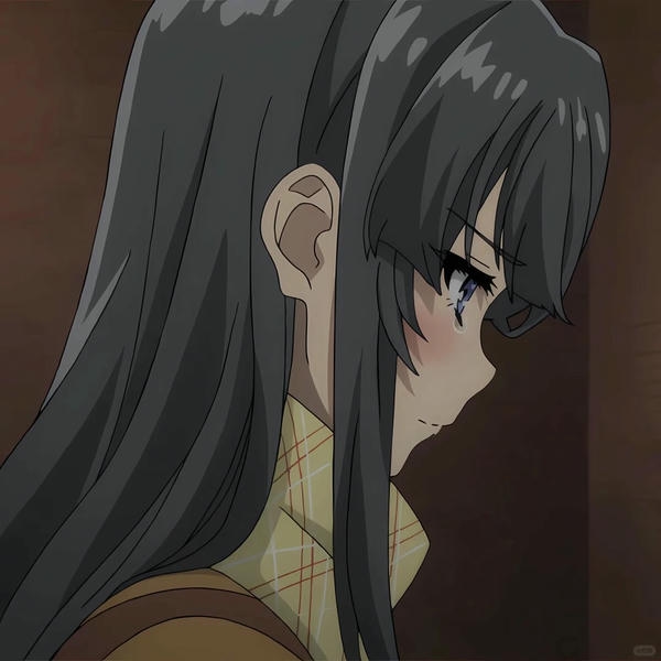 Mai Sakurajima (14)