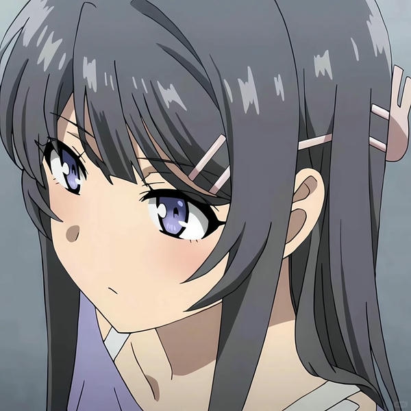 Mai Sakurajima (16)