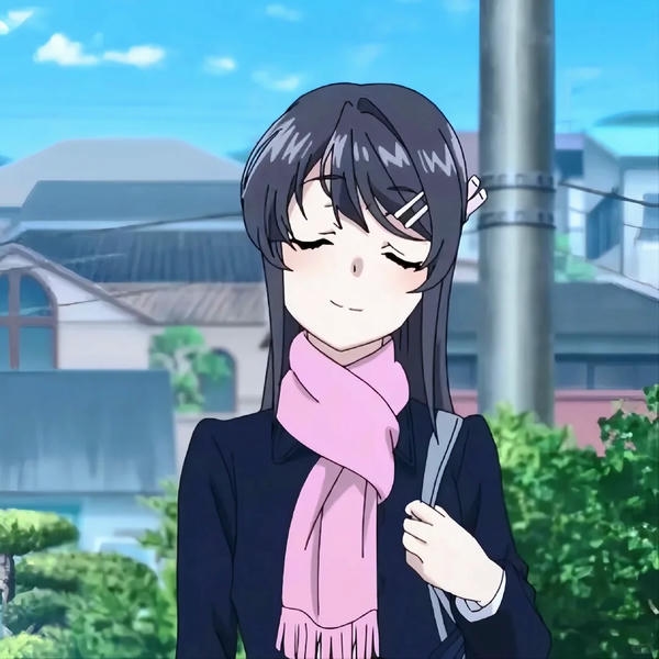 Mai Sakurajima (20)