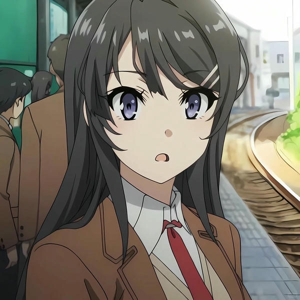 Mai Sakurajima (22)