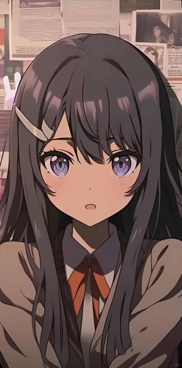 Mai Sakurajima (24)
