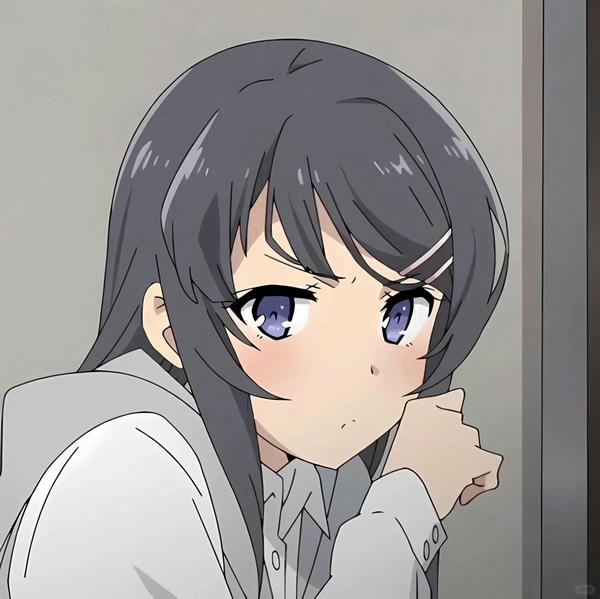 Mai Sakurajima (27)