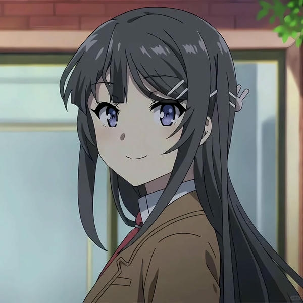 Mai Sakurajima (28)