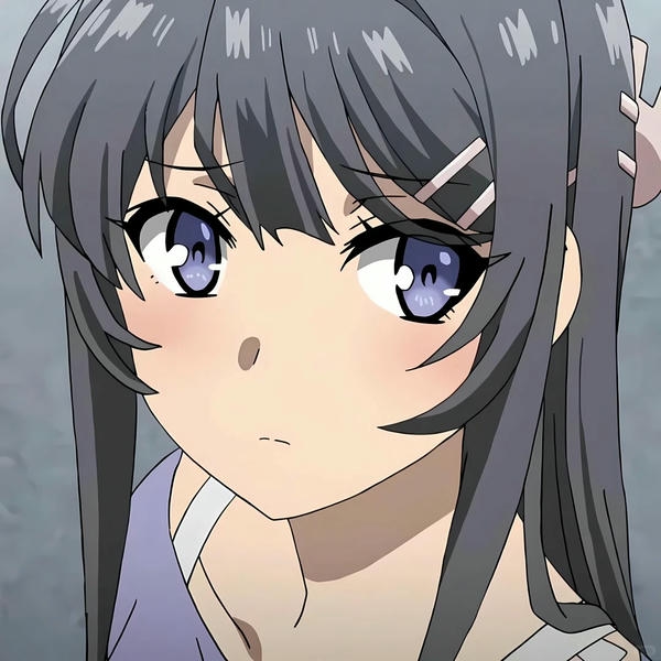 Mai Sakurajima (29)