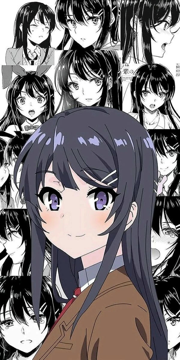 Mai Sakurajima (35)