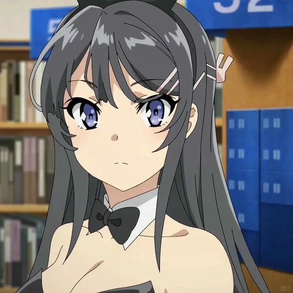Mai Sakurajima (6)