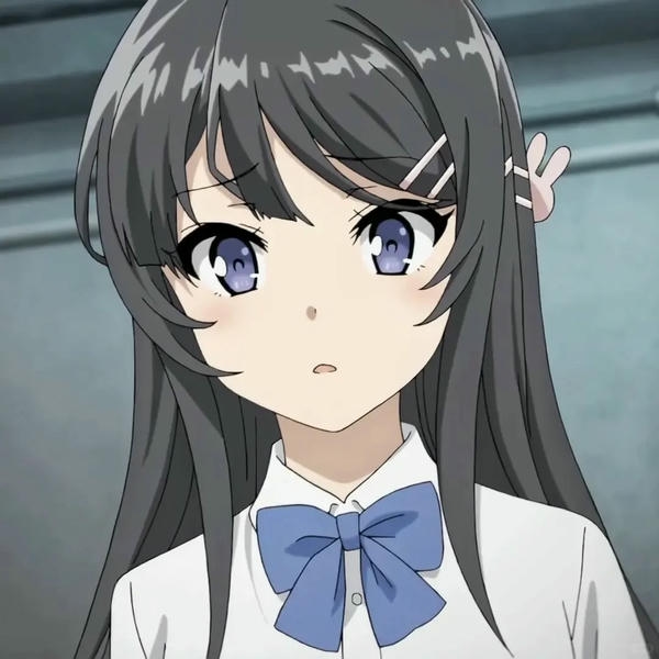 Mai Sakurajima (7)