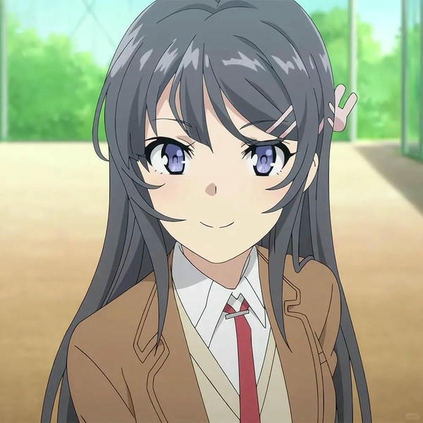 Mai Sakurajima (9)