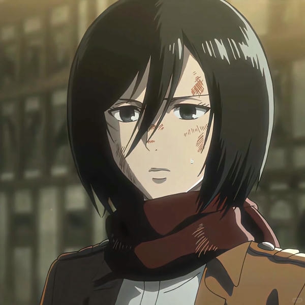 Mikasa Ackerman (10)