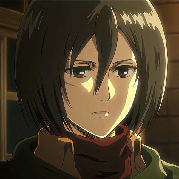 Mikasa Ackerman (11)