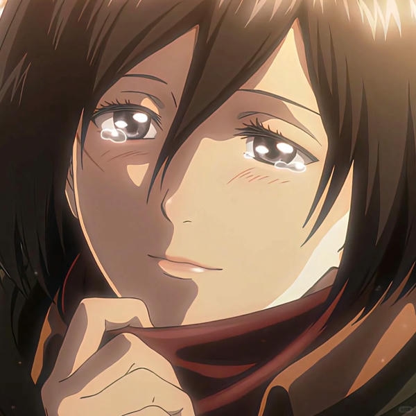 Mikasa Ackerman (12)