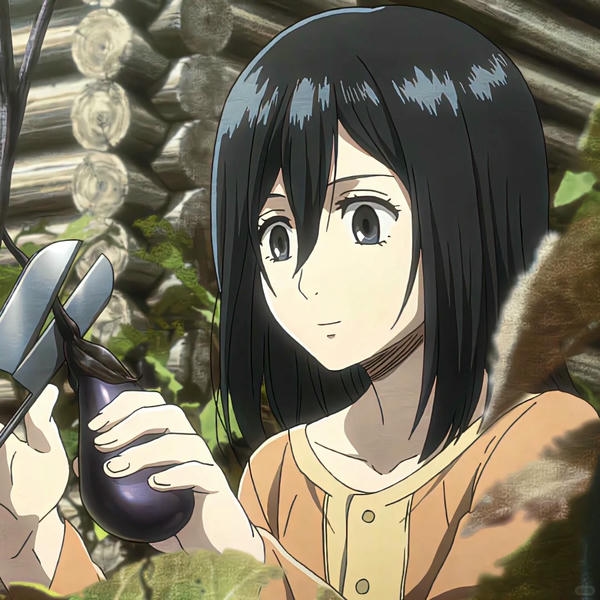 Mikasa Ackerman (14)