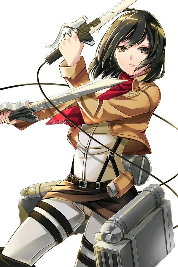 Mikasa Ackerman (3)