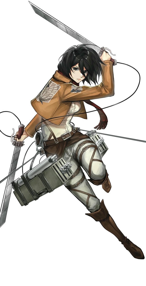 Mikasa Ackerman (37)