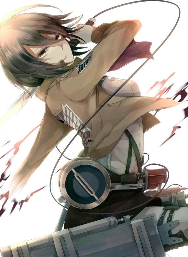 Mikasa Ackerman (6)