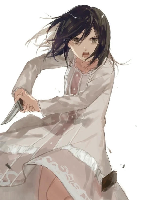 Mikasa Ackerman (8)