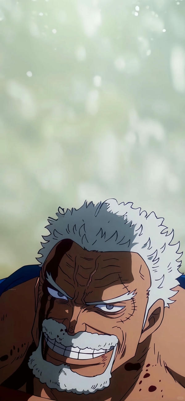 Monkey D. Garp (8)