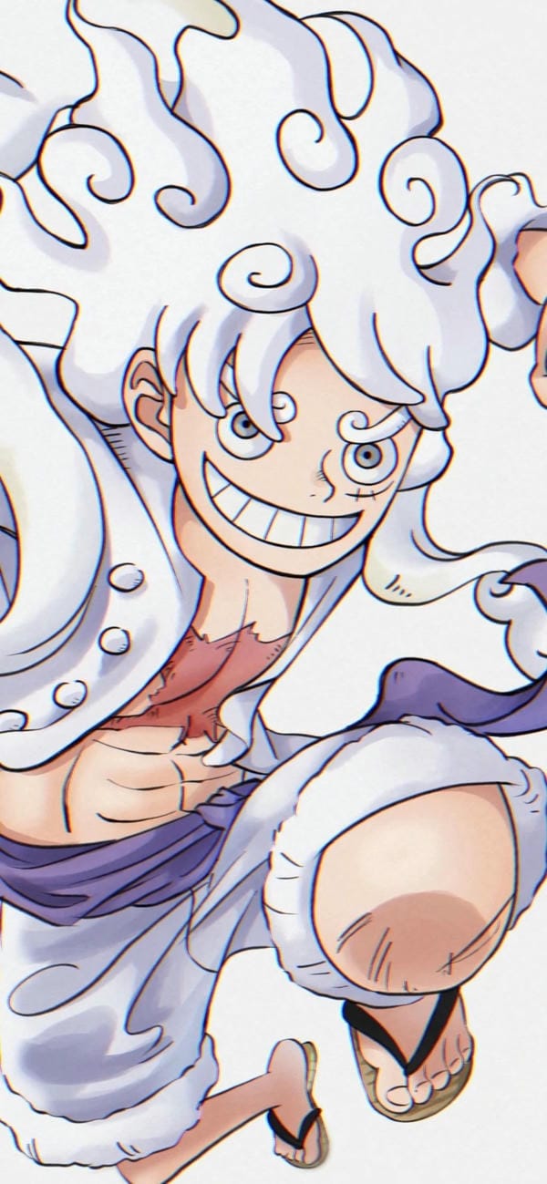 Monkey D. Luffy (13)
