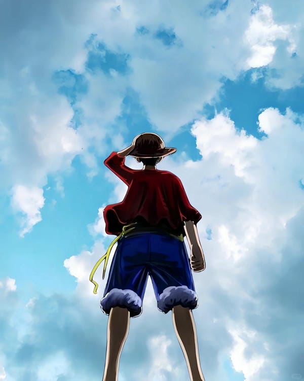 Monkey D. Luffy (21)