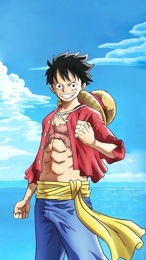 Monkey D. Luffy (22)