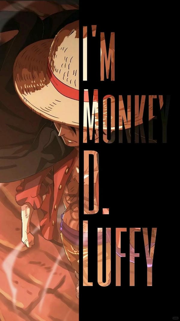 Monkey D. Luffy (27)