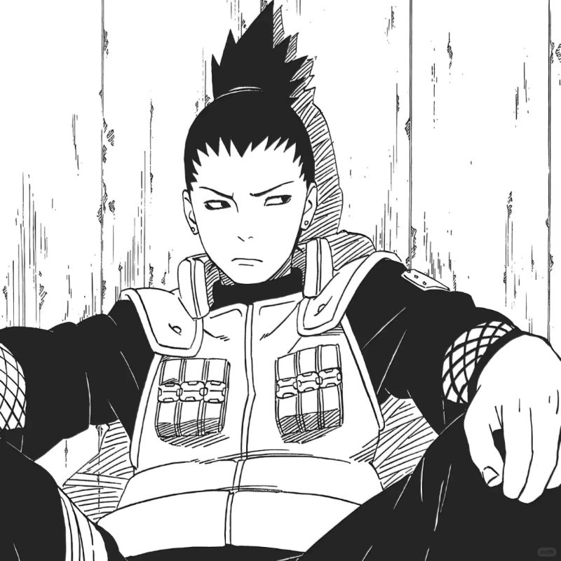 Nara Shikamaru (14)