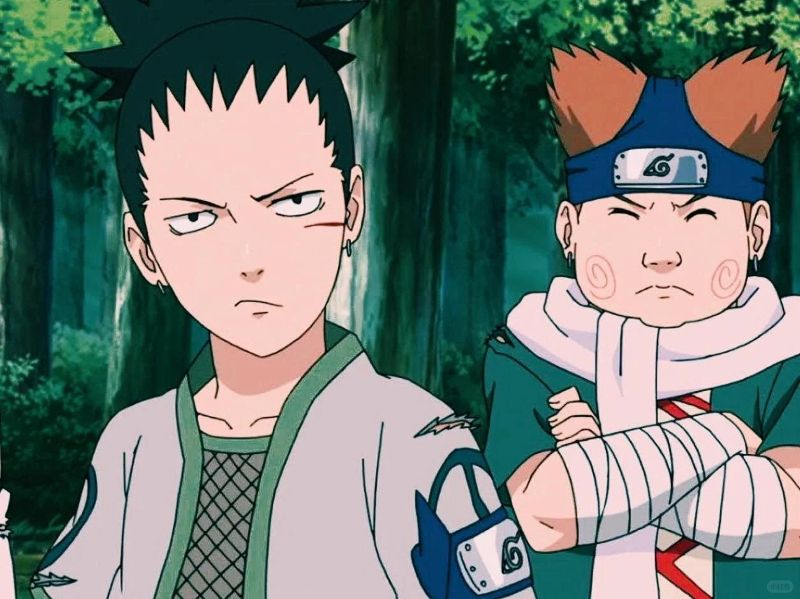Nara Shikamaru (20)