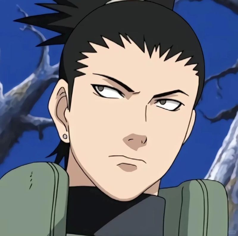 Nara Shikamaru (22)
