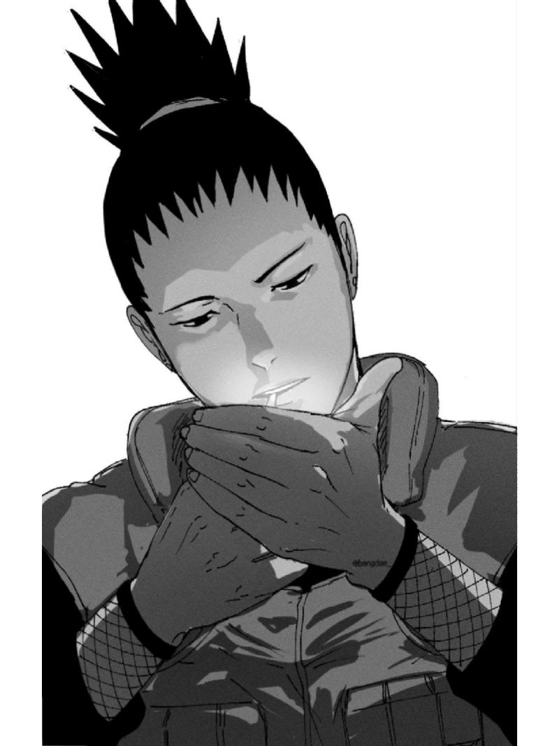 Nara Shikamaru (28)