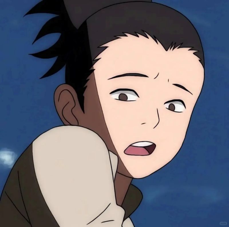 Nara Shikamaru (37)