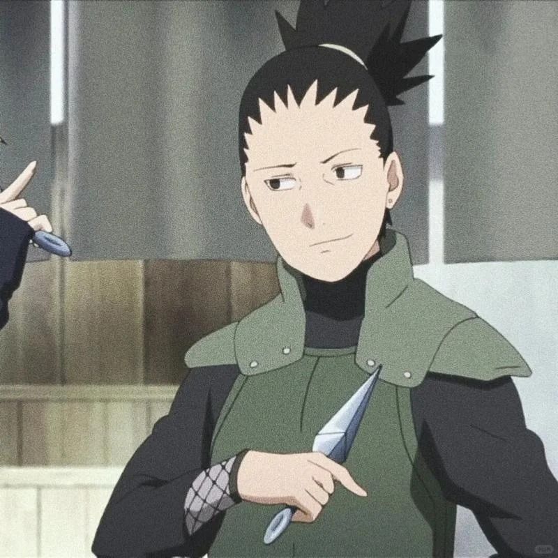 Nara Shikamaru (38)