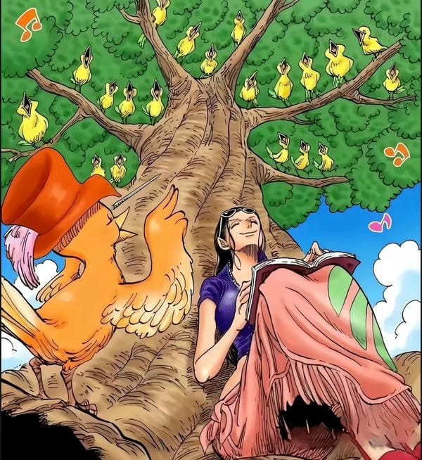 Nico Robin (15)
