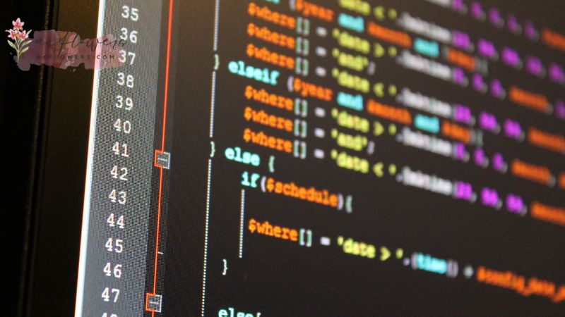Python ใช้ทำอะไรได้บ้าง?