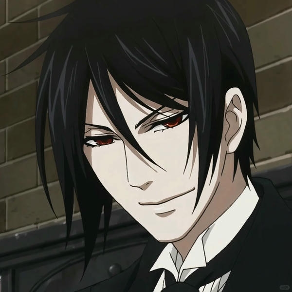 Sebastian Michaelis (24)