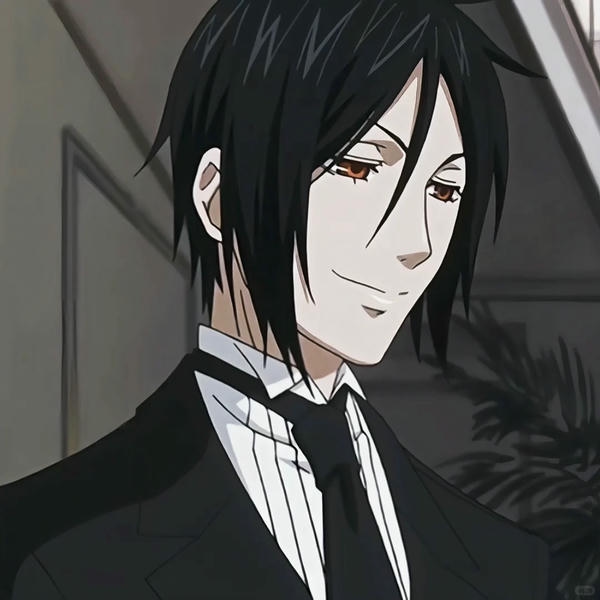 Sebastian Michaelis (26)