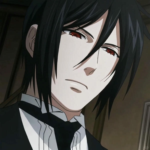 Sebastian Michaelis (28)