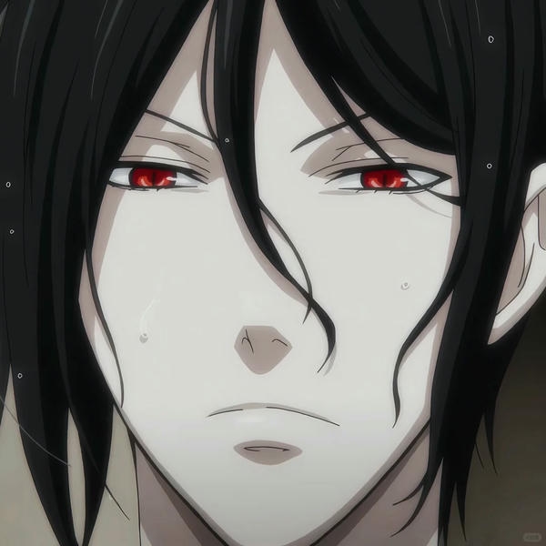 Sebastian Michaelis (9)