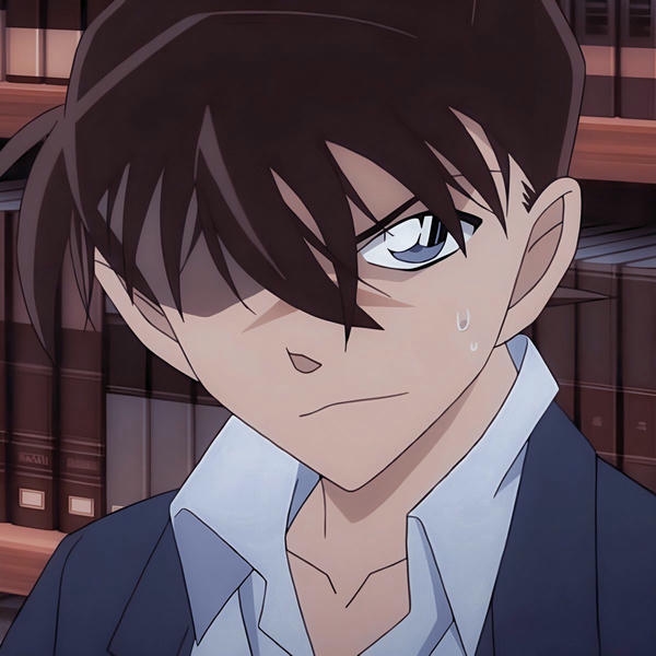 Shinichi Kudo (22)