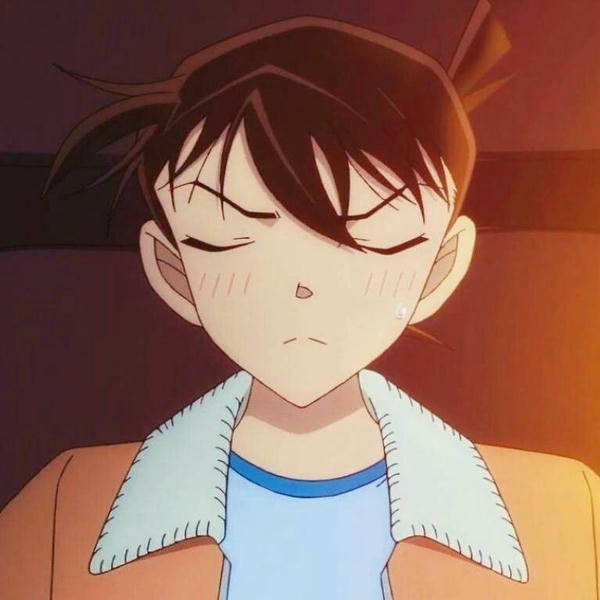 Shinichi Kudo (23)