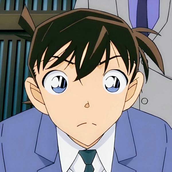 Shinichi Kudo (24)
