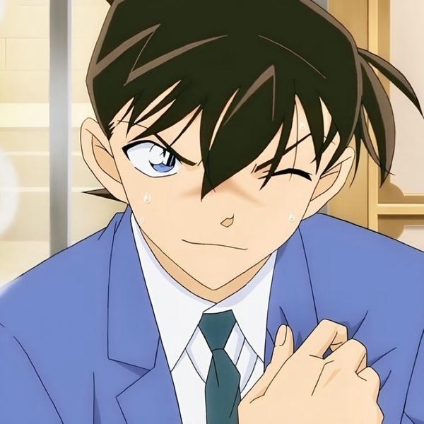Shinichi Kudo (26)
