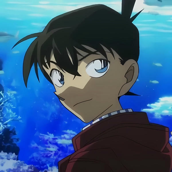 Shinichi Kudo (31)