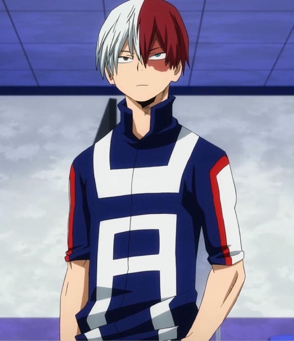 Shoto Todoroki (11)