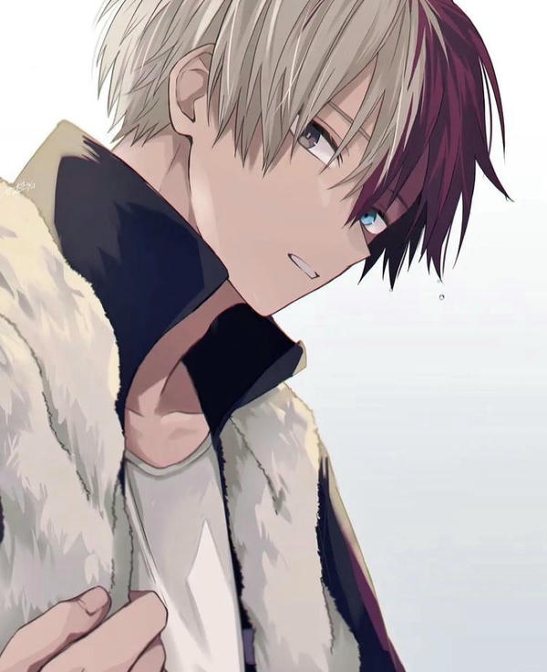 Shoto Todoroki (12)