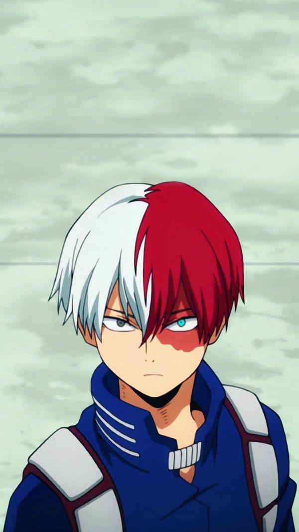 Shoto Todoroki (13)