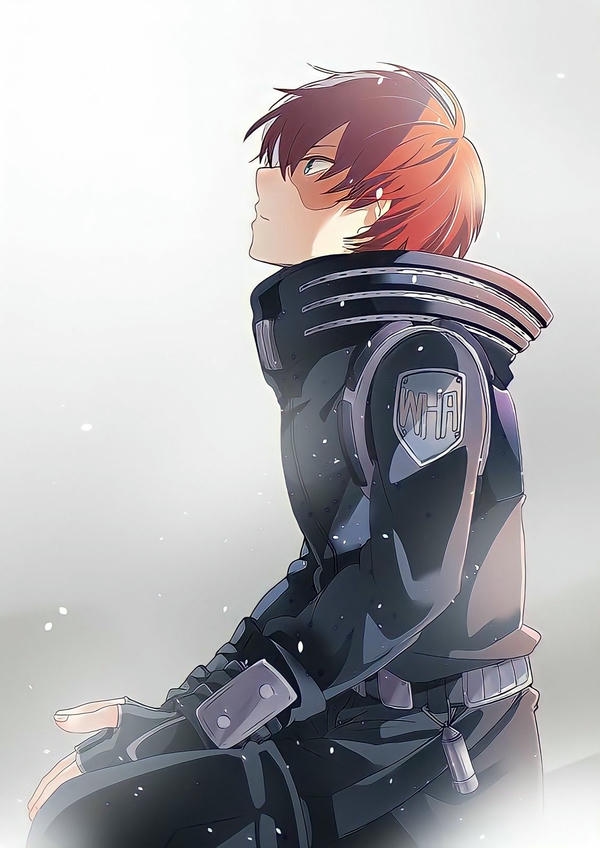 Shoto Todoroki (17)