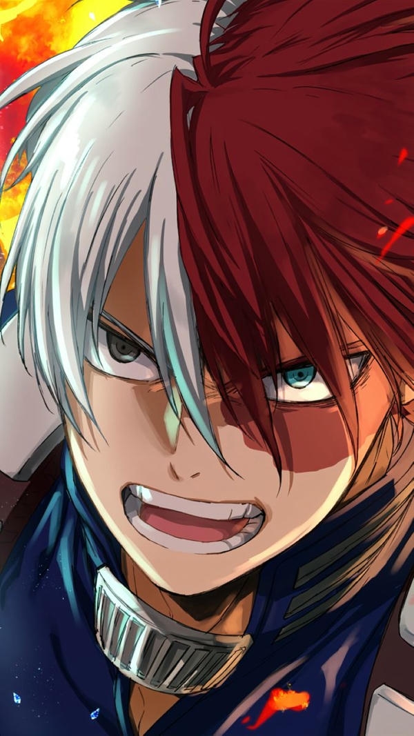 Shoto Todoroki (18)